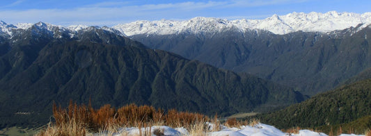 Mt. Tuhua Track