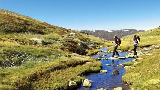 Australian Alps Walking Track