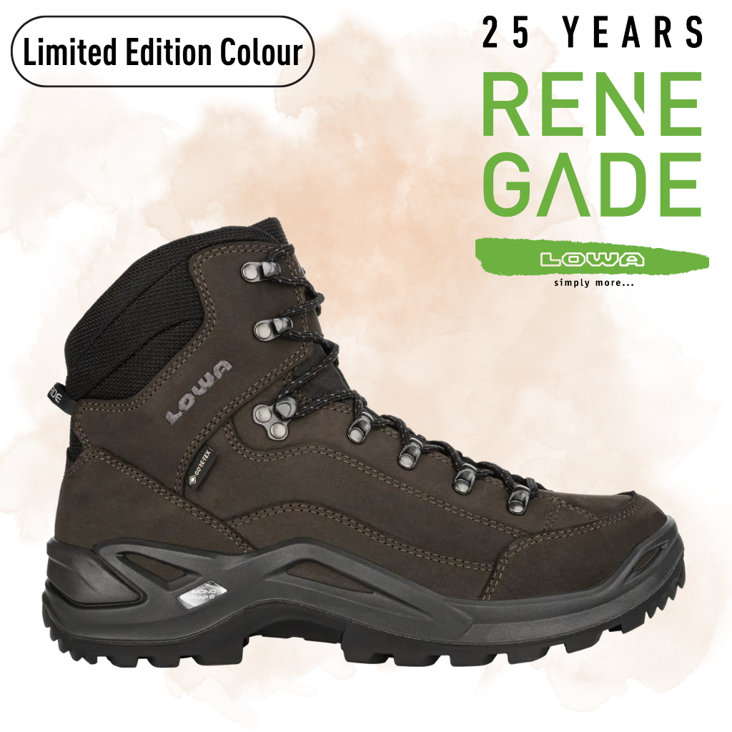 Lowa renegade hiking boots online